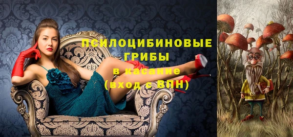 альфа пвп Михайловск