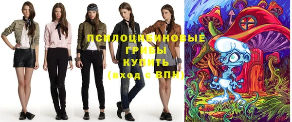 Альфа ПВП Нефтекумск