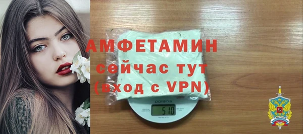 прущие грибы Мегион